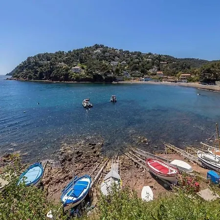 Charming Fisherman's House In Fabregas Holiday home La Seyne-sur-Mer